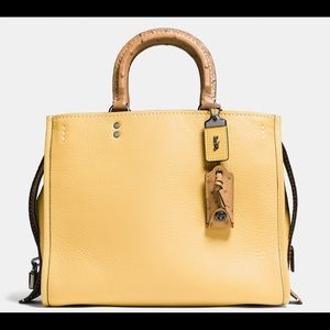 **ISO**Coach Rogue 1st Generation